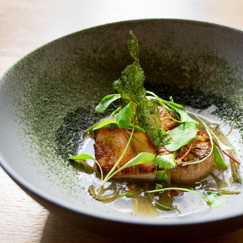 Orkney scallops, black radish fondant, umami broth and a trio of seaweed by chef George Tannock, chefs to follow on Instagram, food pics, social media, The Staff Canteen, Instagram Top Ten